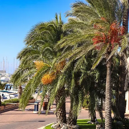 Centro Apartamento Dénia