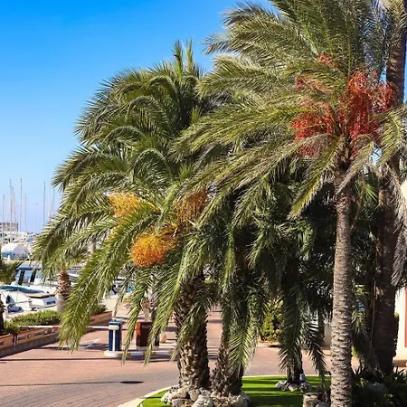 Apartament Centro Denia