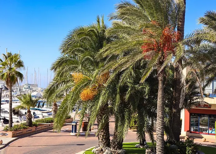 Centro شقة دينايا